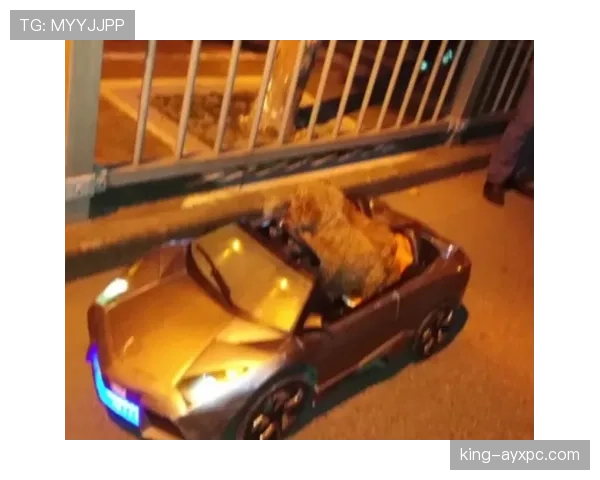 拉菲尼亚今晨一条动态:遛狗时顺手把百万跑车留在旁边,我的生活直接矮一截 拉菲尼亚今晨一条动态:遛狗时顺手把百万跑车留在旁边,我的生活直接矮一截